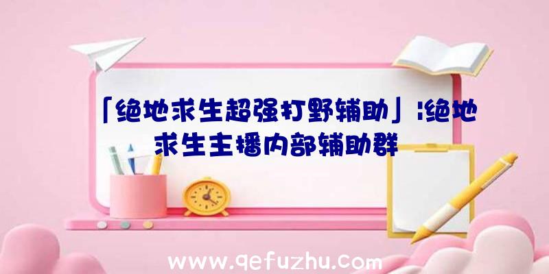 「绝地求生超强打野辅助」|绝地求生主播内部辅助群